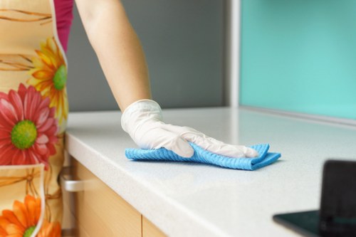 Professional upholstery cleaning on a living room sofa