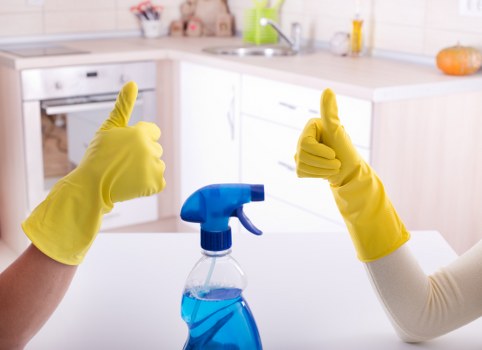Professional window cleaning on a bright residential property