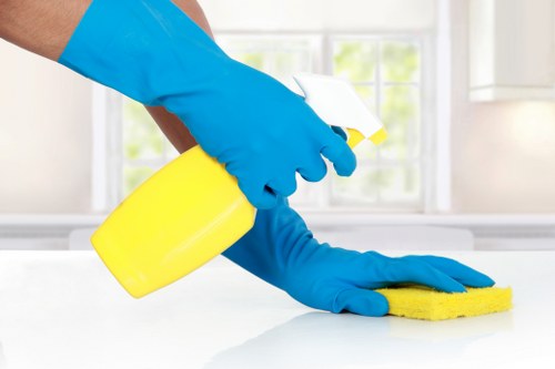 Polished home environment illustrating the value of regular cleaning