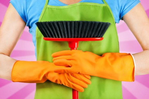 Bathroom house cleaning essentials and disinfecting supplies