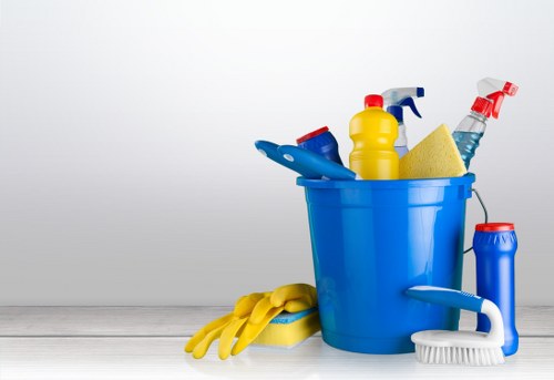 Vacuuming and routine rug cleaning in a home setting
