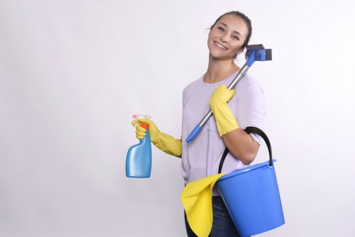 Bathroom sanitation as part of regular domestic cleaning