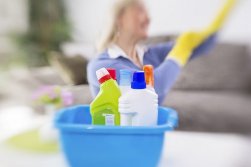 Bathroom deep cleaning for end of tenancy inspection
