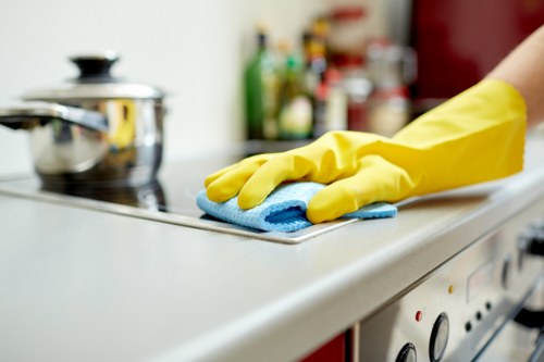 Organized home upkeep and domestic cleaning supplies