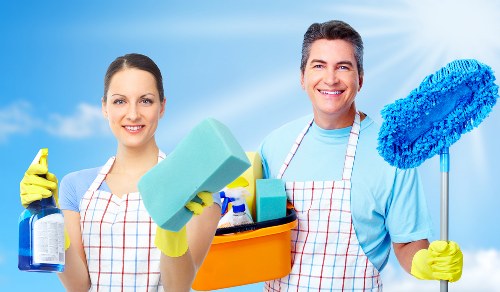 Cleaning products and tools for efficient home maintenance